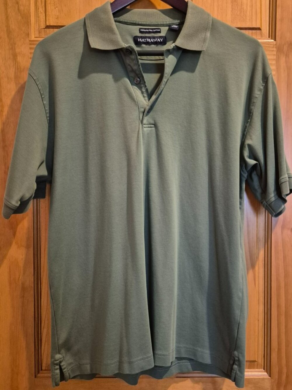 Hathaway Polo Shirt in Green